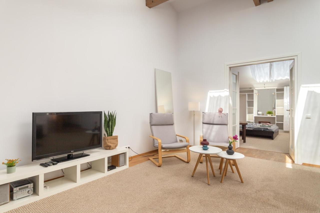 Pearl Loft In The Center Of Apartament *